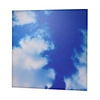 Lumin 40W 600x600mm LED Frameless Panel Skylight